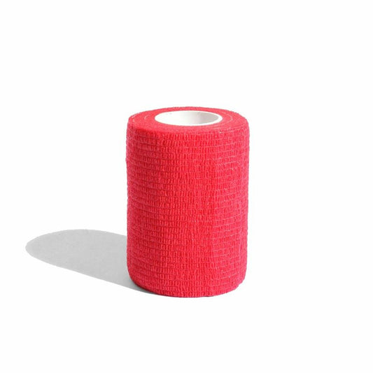 V4H36A44EC15068FBE6EA2E555E054294C6R2307688P1